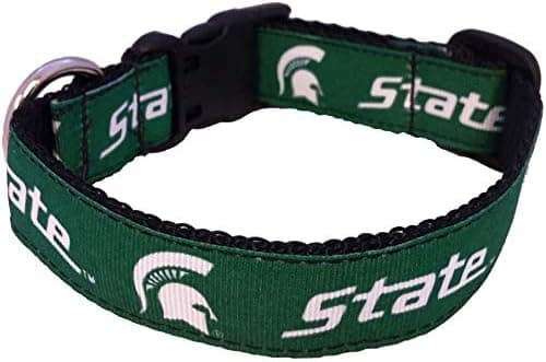 Collegiate Dog Collar (Medium, Michigan State Spartans)