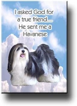 Havanese True Friend Fridge Magnet No 2