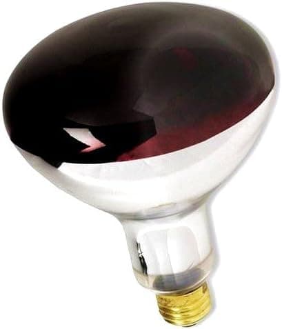 (Pack of 6) 250-Watt R40 RED Heat Lamp, 5,000 Hours, Incandescent Medium Base...