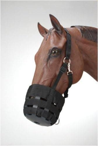 Padded Noseband Grazing Muzzle with Halter, Pony [Misc.]