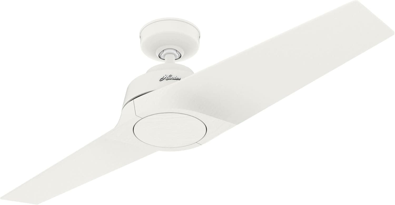 Hunter Thaden Indoor Ceiling Fan with Remote Control