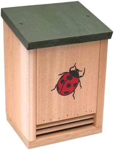 Schrodt Wood Ladybug House