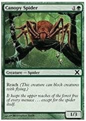 Magic The Gathering - Canopy Spider (254/383) - Tenth Edition