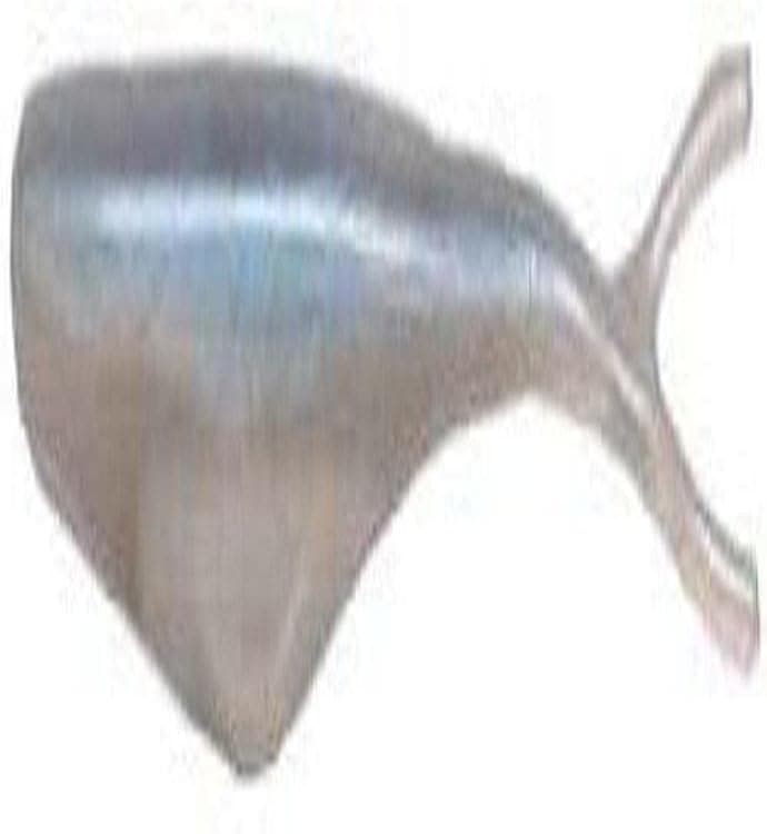 Big Bite Baits 5-Inch Swimming Jerk Minnow Lures-Pack of 10