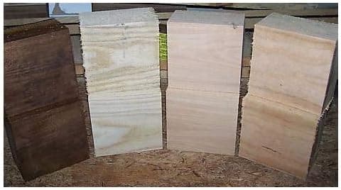 8 Mixed Pack 5" X 5" X 3" Bowl Blanks Lathe Turning Block Lumber 2 Black Walnut + 2 Cherry + 2 Maple + 2 Sassafras Processed Green and Completely Sealed with Anchorsel