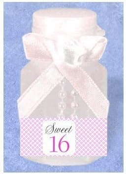 Sweet Sweet 16 24pack Birthday Party Mini Bubble Favor Kit