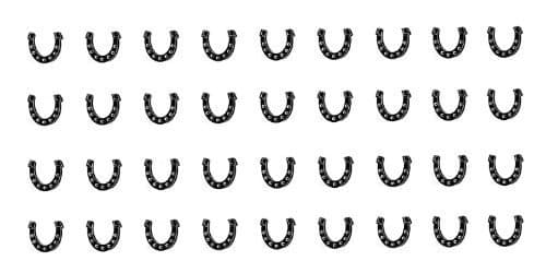 Horseshoe Water Slide Nail Art Decals - Salon Quality 5.5" X 3" Sheet!