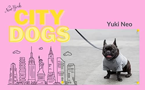 City Dogs