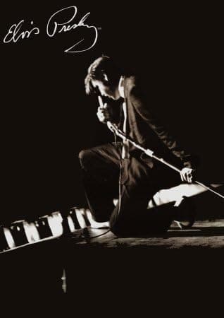 (40x55) Elvis Presley (Kneeling, Huge) Music Poster Print