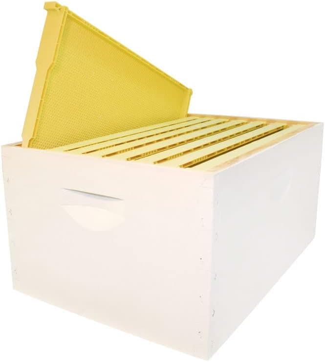 8-Frame Assembled Painted Hive Body Kit, Standard Plastic Frames, Made in The USA