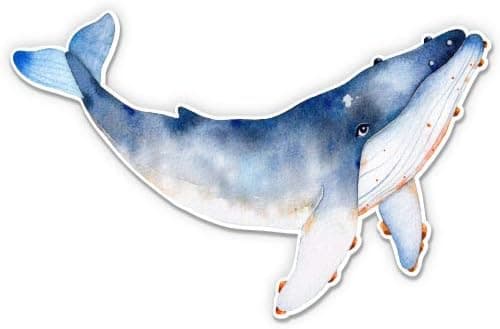 Whale Watercolor Beautiful - 12" Vinyl Sticker Waterproof Decal
