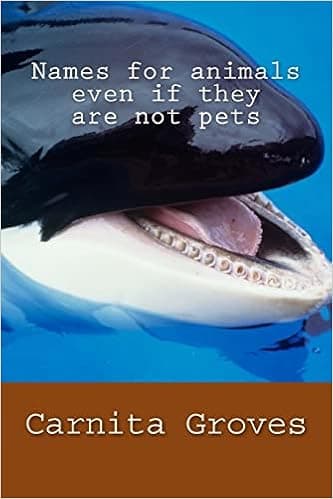 Names for animals even if they are not pets