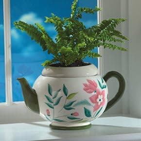 TeaPottery Kensington Planter