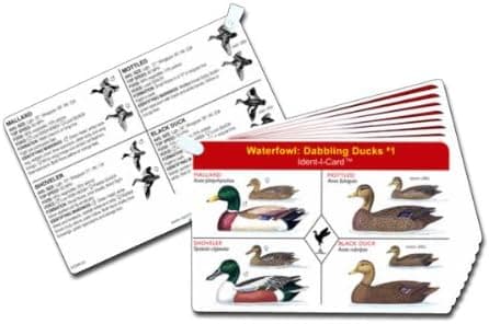 Ident-I-Cards Waterfowl Set of 9 Freshwater Ducks and Geese Identification Cards