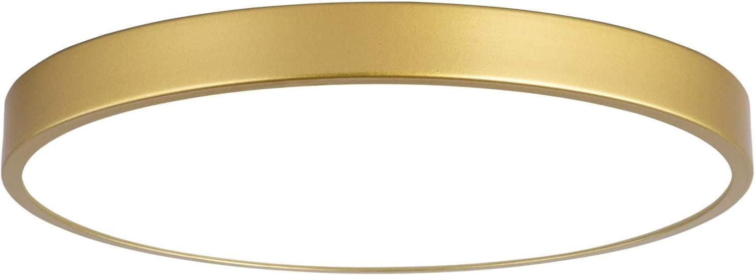 MonDaufie 12 Inch Gold Ceiling Light,Metal Modern LED Gold Flush Mount Ceiling Lights,Low Profile Ceiling Light,3000K-5000K 12W Round Flat Pane Mount Ceiling Lighting,Bedroom,Living Room,Hallway