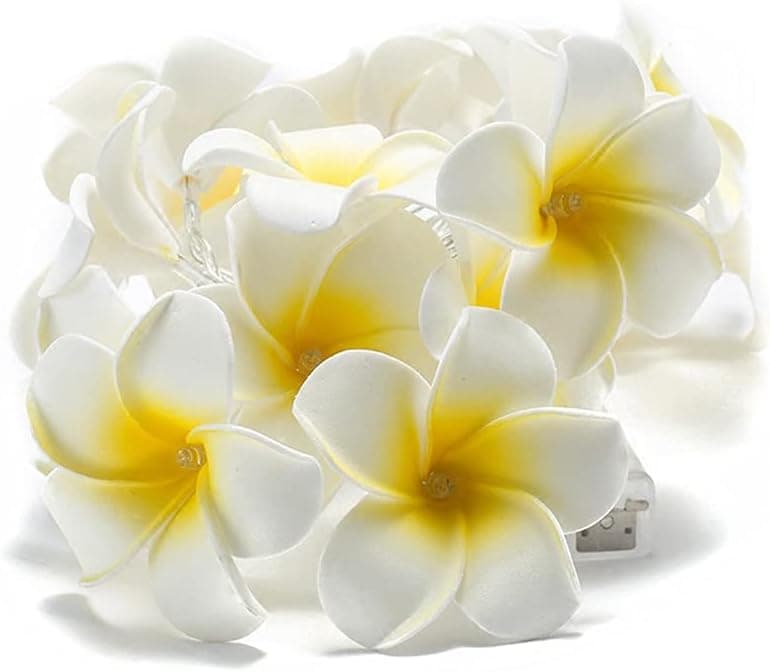 Zivisk 20-LED String Light Hawaiian Foam Artificial Plumeria Flowers - 10 Ft Battery Powered Fairy Starry Lights - Perfect for Home, Wedding, Beach Party, Festival Decoration Lights - Warm White