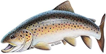 Brown Trout Decal/Sticker Fresh Water Fish Collection (Small-7 x 3.25-Facing as Shown)