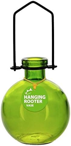 Couronne Glass Large Ball Hanging Rooter Vase Lime Green