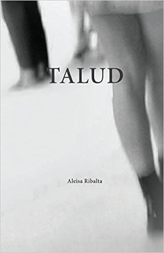 Talud (Spanish Edition)