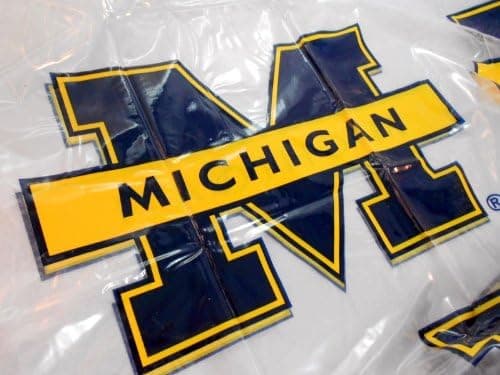MICHIGAN SHOWER CURTAIN