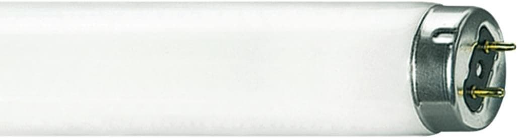 BULB FL T8 G13 48" WW32W