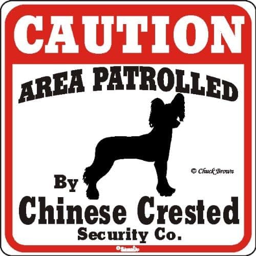 Dog Yard Sign Caution Area Patrolled by Chinese Crested Security Company