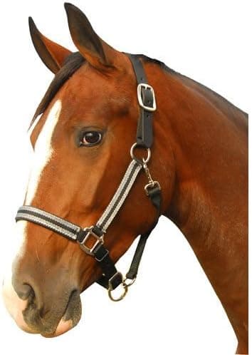 Intrepid International Breakaway Leather Crown Padded Halter