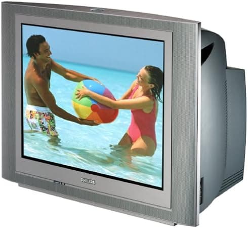 Philips 27PT91S Real Flat 27" TV with 2-Tuner PIP