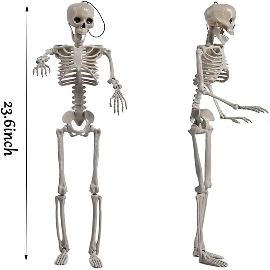 Halloween Skeleton Decorations 23.6" Full Body Posable Movable Joints Skeleton Props Scary Spooky Realistic Human Bones Skull Hanging Halloween Decor for Haunted House Party Home Decoration（1pc）