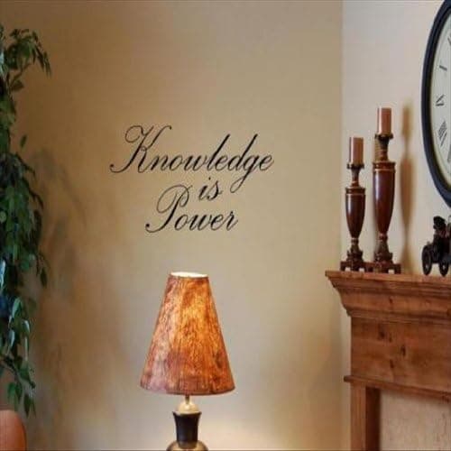Dailinming PVC Wall Stickers Knowledge is Power Vinyl Wall Lettering Sayings Words Decals Art 43X56CM