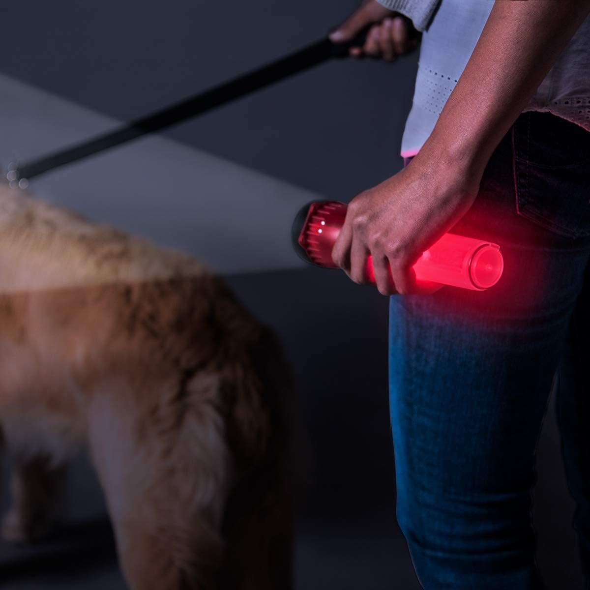 Life Gear Night Walker Glow LED Pet Flashlight, See & Be Seen While Walking At Night