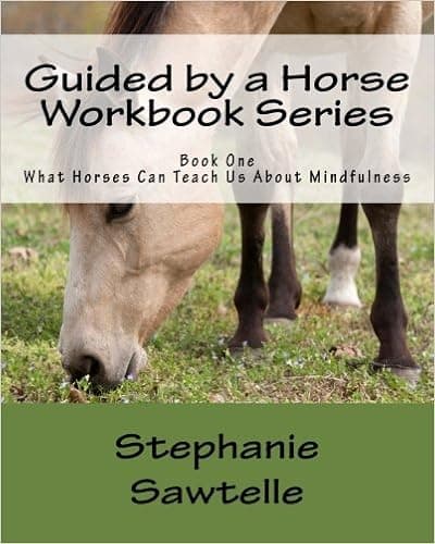 Guided by a Horse Workbook Series: Book One, What Horses Can Teach Us About Mindfulness