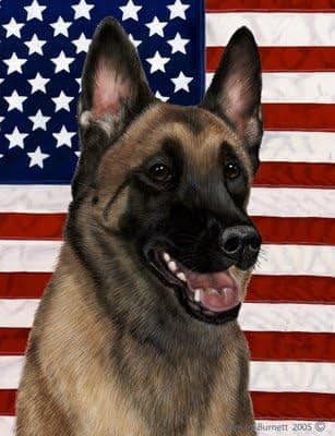 Best of Breed Belgian Malinois Patriotic II Garden Flagss
