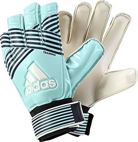 adidas Ace Training Goalkeeper Energy Aqua/Energy Blue/Legend Ink Gloves