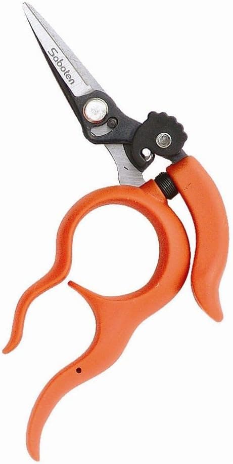 Grape Scissors B-2