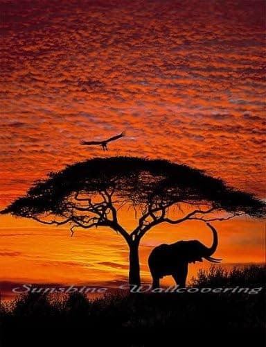 Homevisions African Sunset Mural