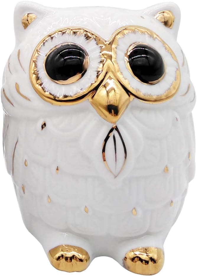 iefoah Owl Girls Piggy Bank Cute Owl Shape Gifts Ceramic Coin Banks White Can Owls Christmas Birthday Gift for Adults Kids Children Baby Home Bedroom Nursery Decorative Oranment