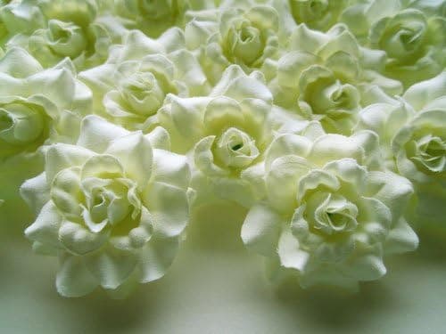 (24) Silk Nature Roses Flower Head - 1.75" - Artificial Flowers Heads Fabric Floral Supplies Wholesale Lot for Wedding Flowers Accessories Make Bridal Hair Clips Headbands Dress