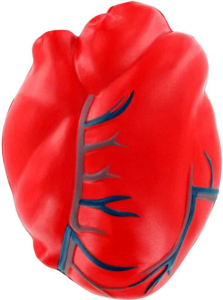Heart with Veins Stress Ball - Healthcare Anatomy Stress Ball