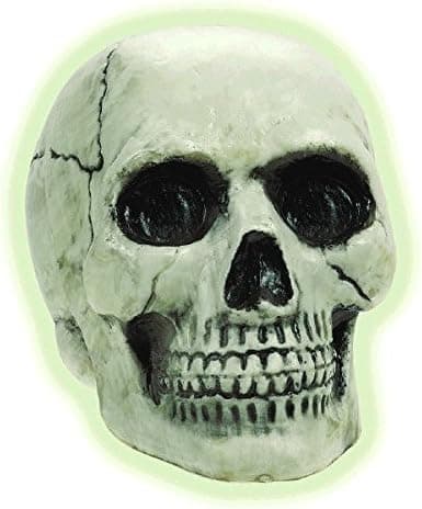 Glow in the Dark Skull