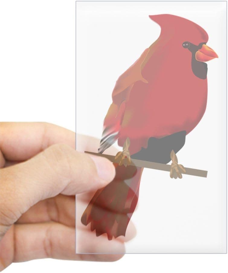 CafePress Male Cardinal Rectangle Sticker Rectangle Bumper Sticker Car Decal