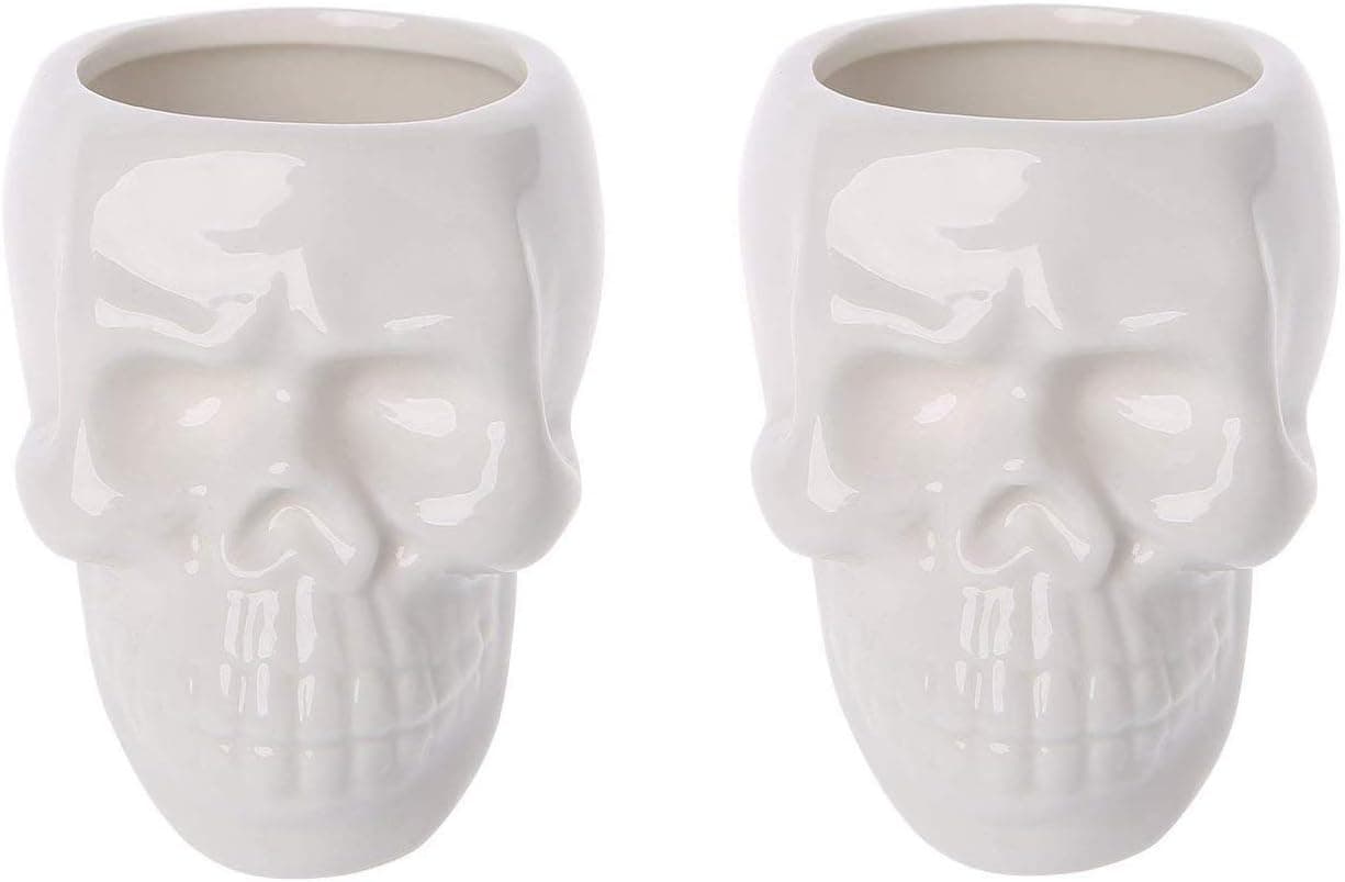 Skull Flower Pot, White Ceramic Skull Capita Planter, Succulent Plants Pots Potted for Desktop Ornaments Office Decor , Pin Storage, Small Object Storage Containers (2 Mini Pots)