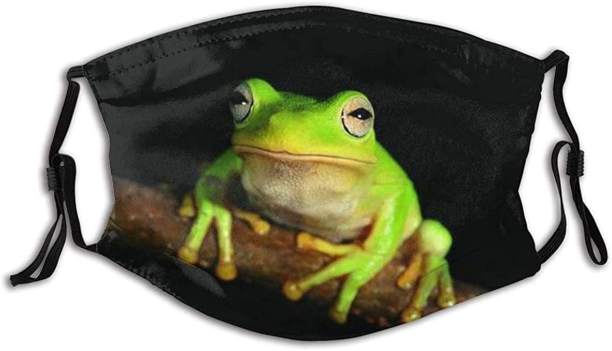 Face Mask A Green Frog Lying On A Branch On A Black Background Balaclava Unisex Reusable Windproof Mouth Bandanas Outdoor Camping Motorcycle Running Neck Gaiter Made in USA