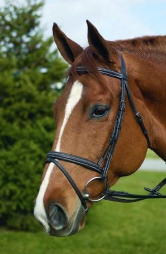 Henri De Rivel Event Bridle Oversize
