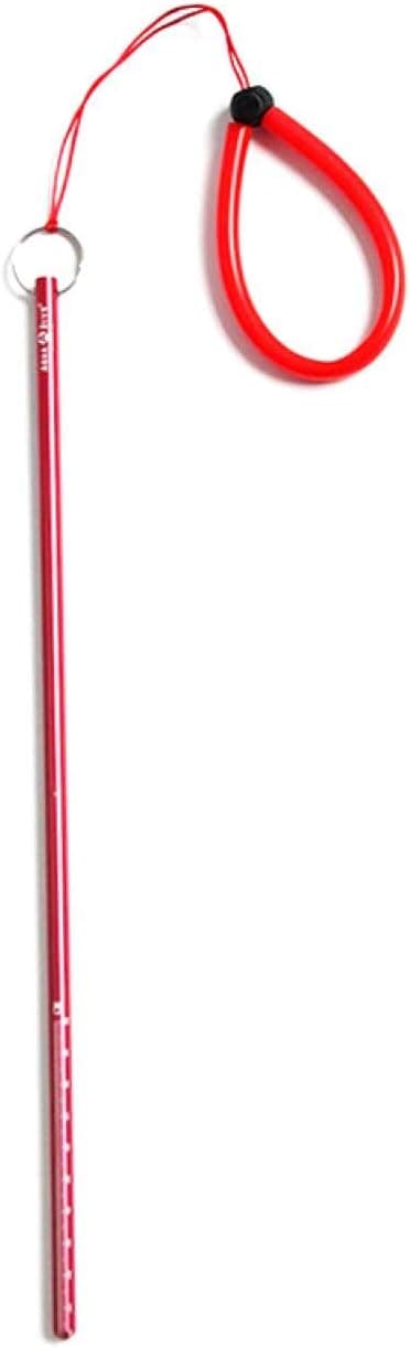 DENPETEC Diving Pointer, Diving Stick, Tickle Stick with Lanyard Pointer for Scuba Diving, Diving Gear, Scuba Diving Accessories Stick Rod, Scuba Tank Aluminium Alloy