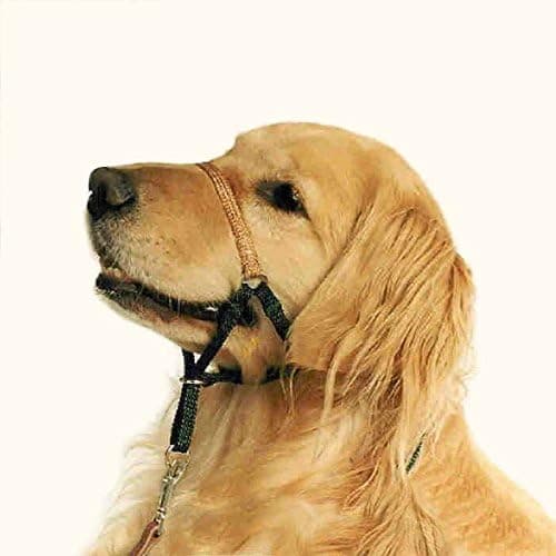 Comfort Trainer Head Halter, Black with Tan Nose Strap, Size 6
