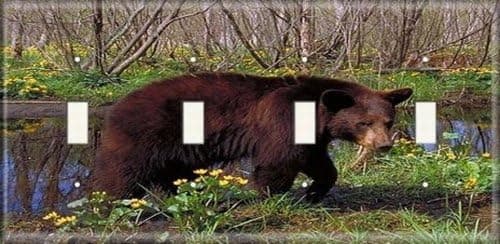 Four Switch Plate - Bear In The Woods