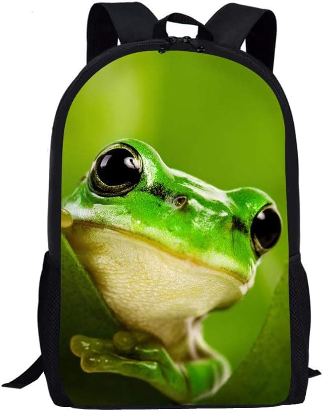 Allcute Kids School Backpack Large Durable Elementary Preschool Book Bags for Boys Girls Frog Print