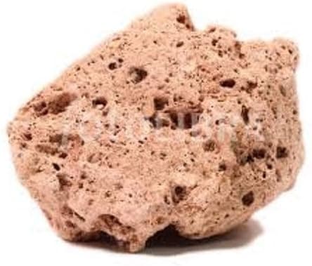 Pumice Volcanic Rock 1-2 Inch w Info Card