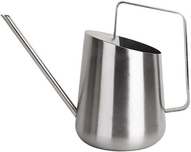 E.Palace Stainless Steel Water Can for Indoor Plants and Garden (30 OZ)
